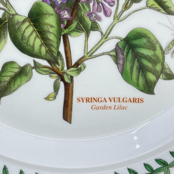 portmeirion botanic garden collection salad plate "garden lilac" pattern - Picture 5 of 8
